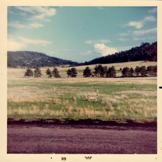 A 60s instant photo from the car window of a pleasant sloping landscape with a line of trees and hills in the distance and blue sky.